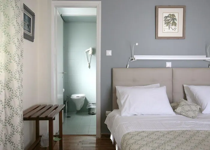 Theoxenia מלון 3*